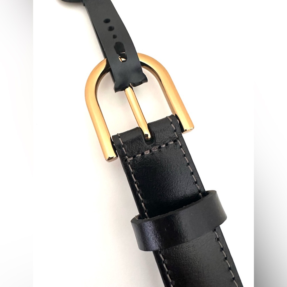 Fossil Size M Belt (Unisex) - image 3
